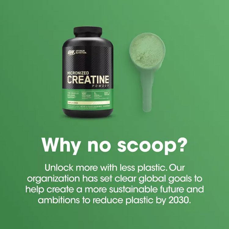Optimum Nutrition 【クーポンあり】マ イクロナイズド