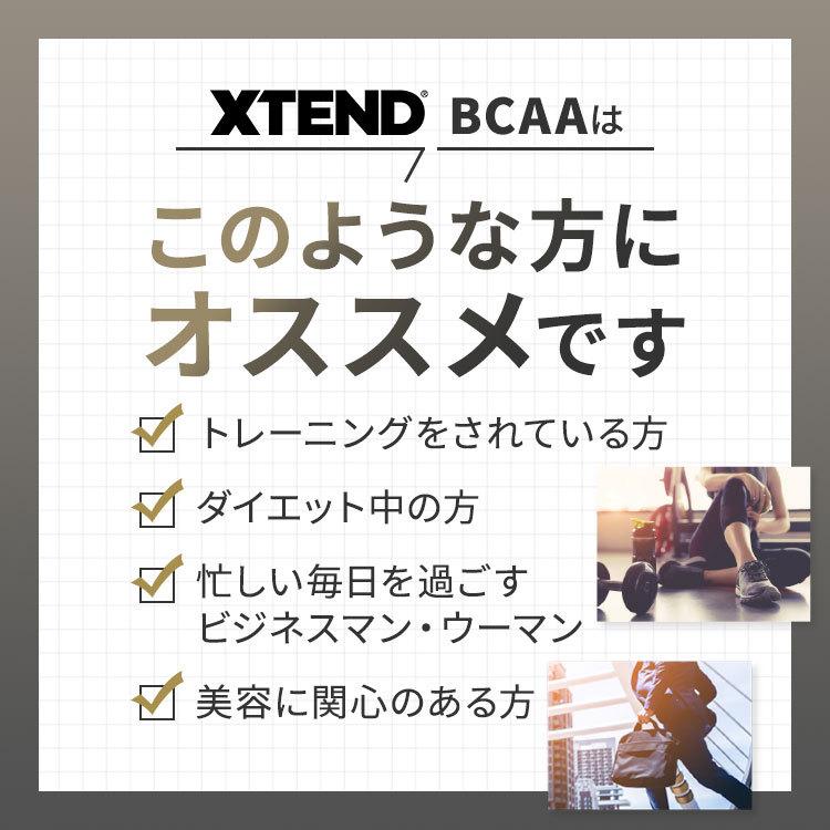 エクステンド グレイシャルグレープ味 90回分 Scivation サイベーション XTEND オリジナル｜speedbody｜04