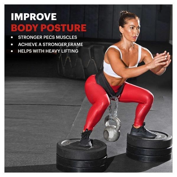 ディップベルト ディッピングベルト (荷重ベルト) チェーン付き DMoose