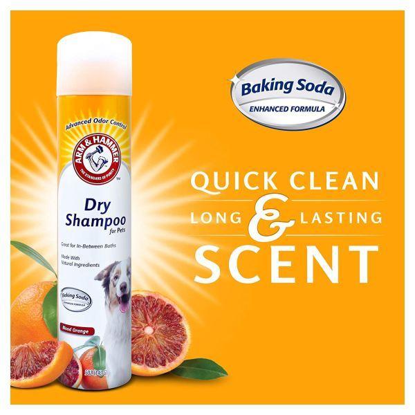 Arm Hammer 犬用ドライシャンプー ブラッドオレンジの香り 142g 5oz アームアンドハンマー Zp アメリカサプリ専門スピードボディ 通販 Yahoo ショッピング