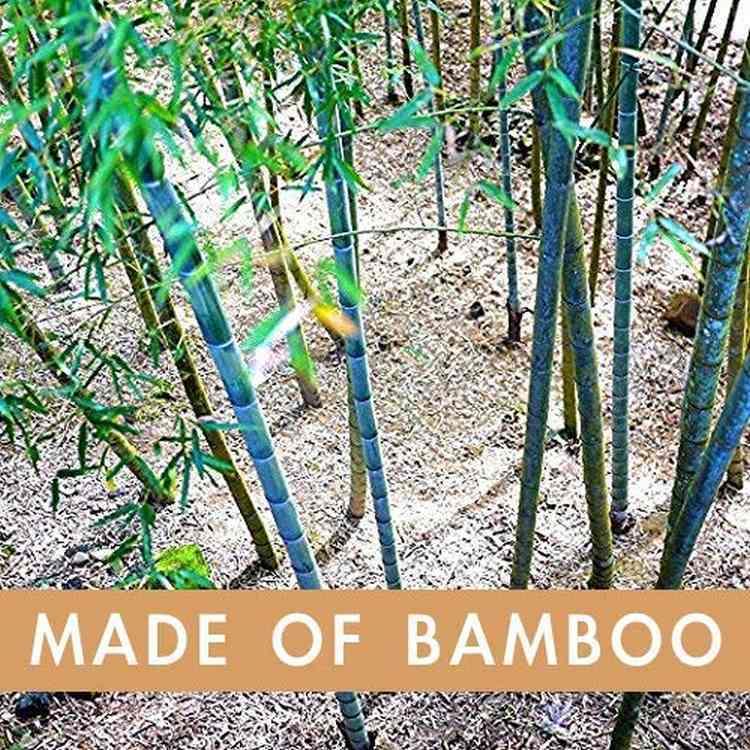 ラブース バンブー 歯ブラシ 大人用 ソフト エコ 5本セット LaBoos Best Nature Manual Color Bamboo Toothbrush｜speedbody｜06