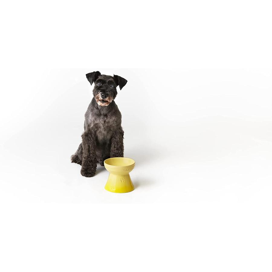 【新品】1週間以内発送 ル・クルーゼ(Le Creuset) ハイスタンド・ペットボール チェリーレッド 犬 猫 防汚 電子レンジ 対応｜speedwagon｜04