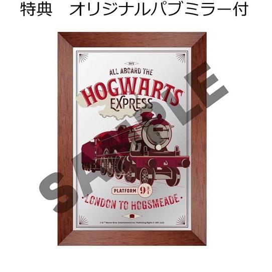 ワーナー・ブラザース 【新品】1週間以内発送【パブミラー付】500