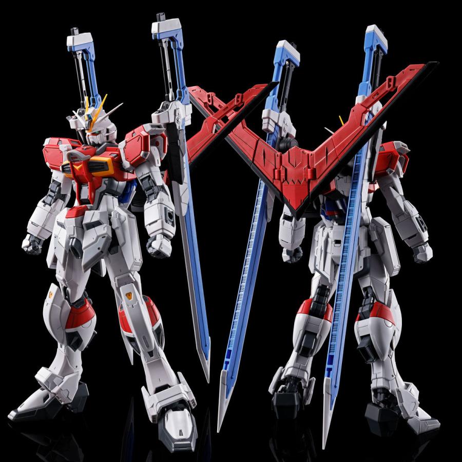 ソードインパルスガンダム MR風 合金フレーム 1/144スケール 未組立 BANDAI（バンダイ） 【新品】1週間以内発送 RG 1/144 ソード
