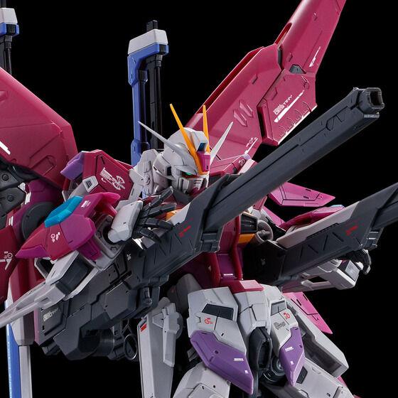 BANDAI（バンダイ） 【新品】1週間以内発送 RG 1/144 デスティニー