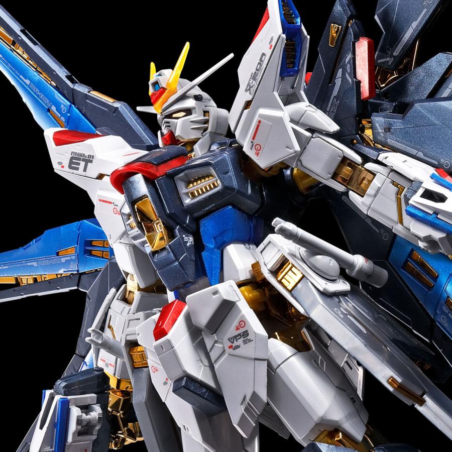 BANDAI（バンダイ） 【新品】【即納】RG 1/144 ストライクフリーダム