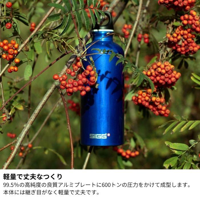 SIGG（シグ） ボトル 水筒 保冷 保温 トラベラー ルシッド タッチ