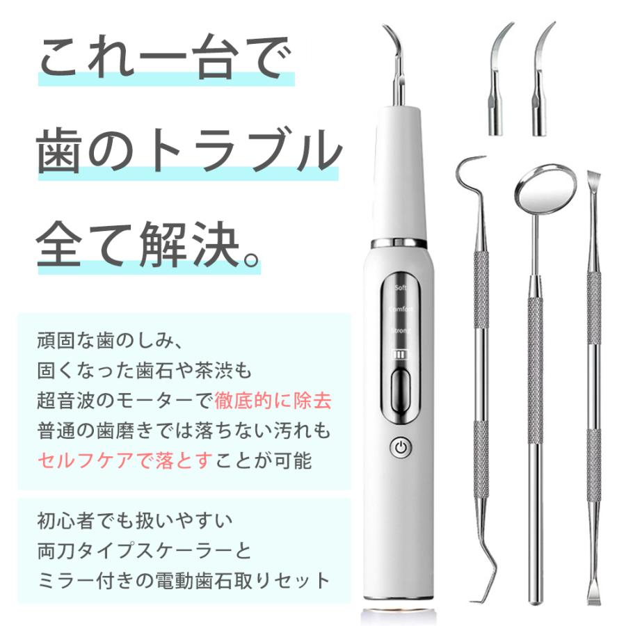 歯石取り 家庭用歯石取りセット 口腔洗浄器 超音波 スケーラー 歯石