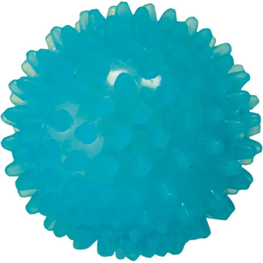 DANNO（ダンノ） リフレックス・ボール6 ハードタイプ ブルー