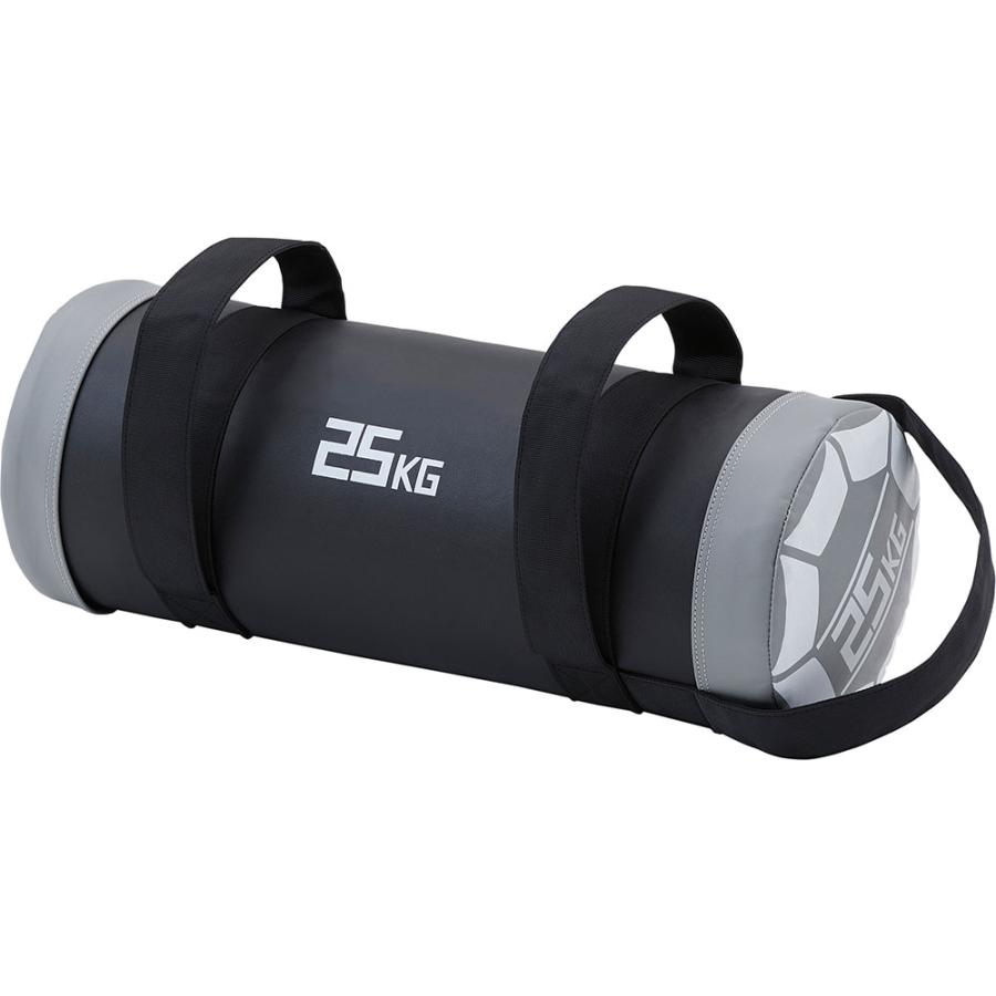 ダンノ DANNO ウエイトバック 25kg グレー 体幹トレーニング ウエイトトレーニング 筋トレ 筋力トレーニング フィットネス 宅トレ 耐久性 耐水性 ウェイト  D7294 DANNO（ダンノ） ウエイトバック 25kg グレー 体幹トレーニング