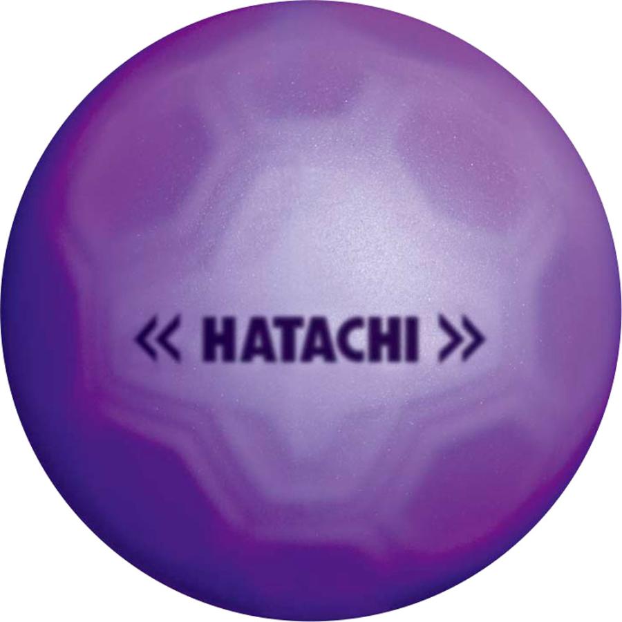 HATACHI 91％以上節約 ハタチ シュートボール グラウンド ゴルフ ★お求めやすく価格改定★ 忠実構造ボール BH3460 パープル