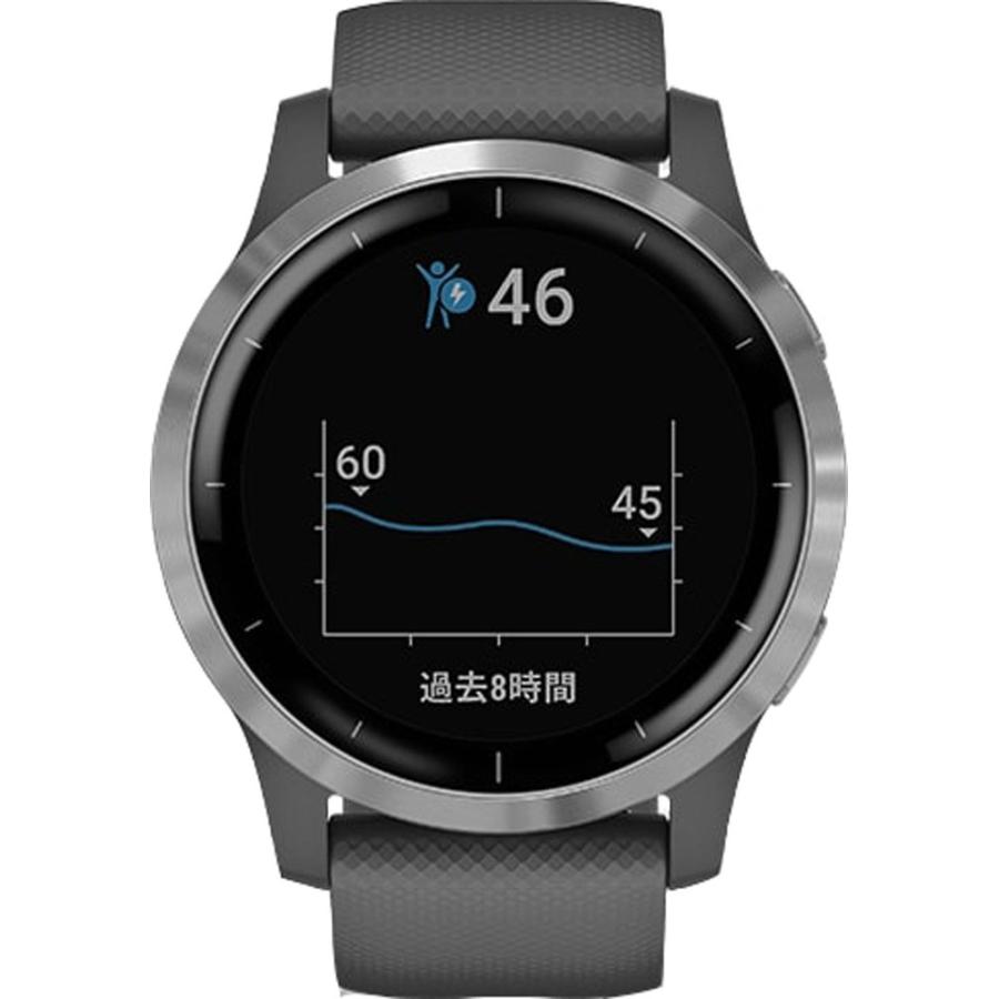 GARMIN ガーミン ヴィヴォアクティブ4 シャドーグレー vivoactive 4 