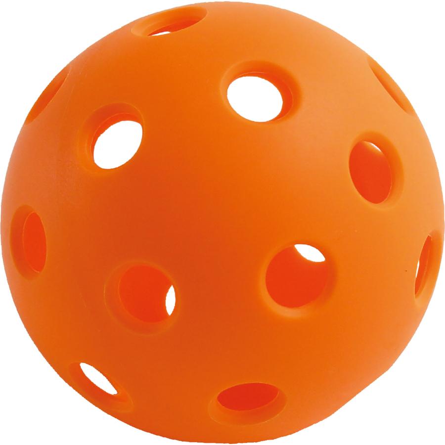 ケンコー KENKO ピックルボール 屋外用 ラケット競技 種目 ニュー