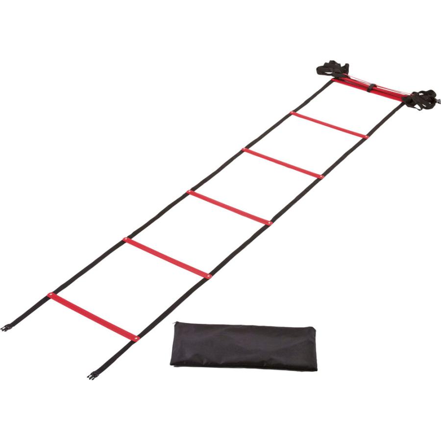 カネヤ KANEYA トレーニングラダーST6 K-1385 学校体育器具 学校備品 器具 学校 体育 部活 授業 運動会 体育祭 レクリエーション 体力 トレーニング  K1385 KANEYA（カネヤ） トレーニングラダーST6 K-1385 学校体育器具 学校