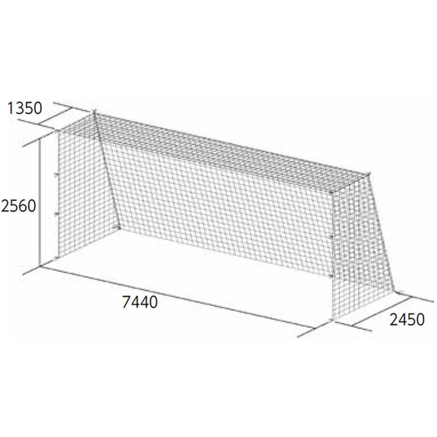 トーエイライト TOEI LIGHT サッカー 一般サッカーゴールネット B-3773 サッカー 白 ホワイト ネット 亀甲目 無結節 中学生 高校 一般 部活動 ゴールネット ネット 大学  B3773 TOEI LIGHT（トーエイライト） 一般サッカーゴールネット B-3773