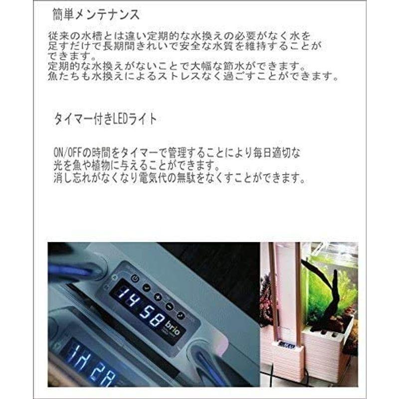 お買い得！ 家庭用 アクアポニックス ブリオ 本体 brio 水槽 セット ホワイト brio35 お洒落 【F1561433150】(56550円)