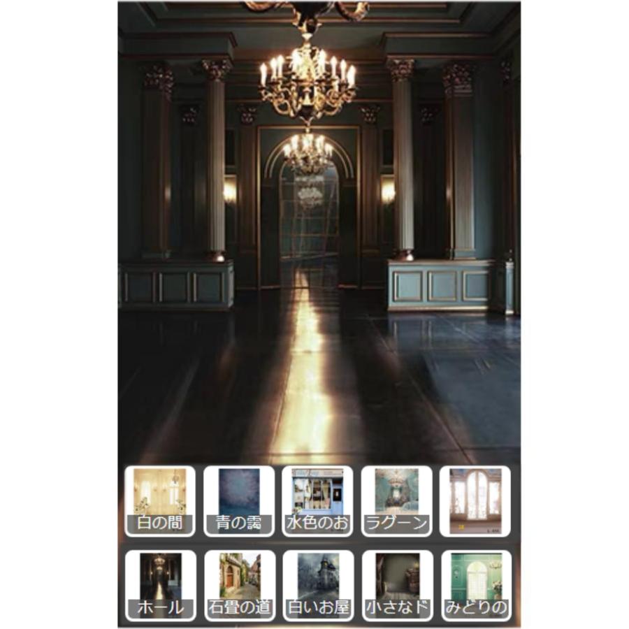 Lサイズ背景布グループ1 10種類の中からお選びください 60x120cm 1