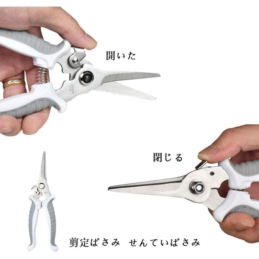 大人気新作 HaNaGift-剪定鋏-剪定はさみ 園芸用はさみ せんていばさみ 生け花万能ハサミ 果樹 庭木の剪定 盆栽剪定用具 ガーデニング 農作業・ 剪定ばさみ - www.we-job.com 大人気新作 HaNaGift-剪定鋏-剪定はさみ 園芸用はさみ せんていばさみ 生け花万能ハサミ 果樹 庭木の剪定 盆栽剪定用具 ガーデニング 農作業・ 剪定ばさみ - www.we-job.com