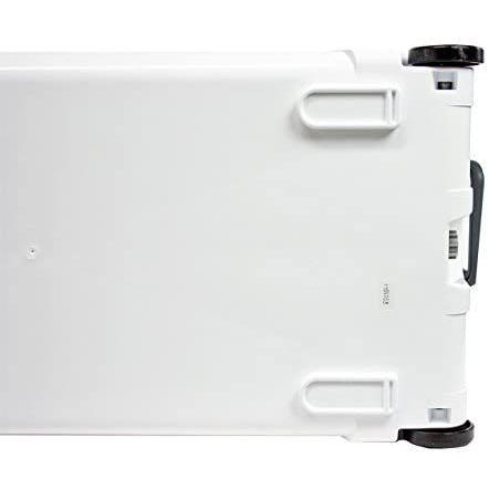 伸和(SHINWA) ホリデーランドクーラー48H 48H ホワイト