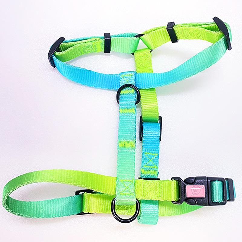 犬用ハーネス 犬用品 brand new planet CANDYハーネス XSサイズ