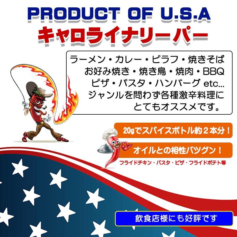 キャロライナリーパー 粉末 10g 超激辛 唐辛子 本場アメリカ直輸入 SPICE CAMP 送料無料 ポイント消化 ポッキリ お試し｜spicecamp｜02