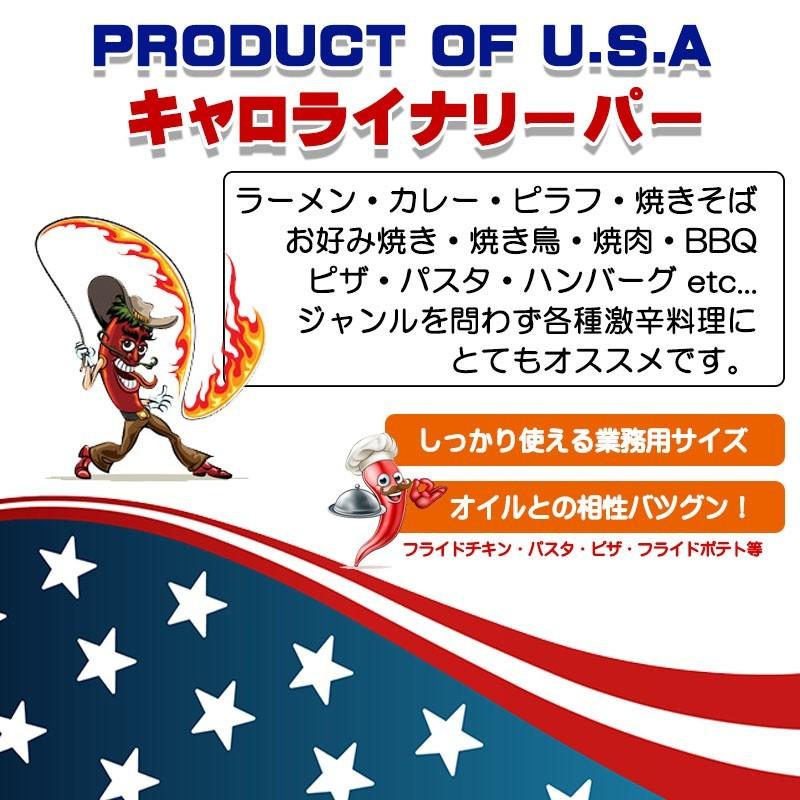 キャロライナリーパー 激辛一味パウダー 50g 唐辛子 本場アメリカ直輸入 SPICE CAMP 業務用 送料無料 飲食店様に｜spicecamp｜02