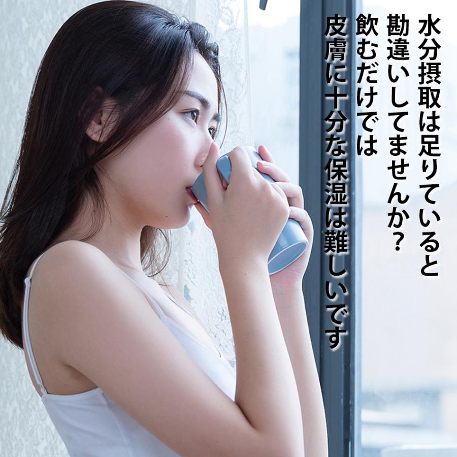 ハンディミスト スチーマー 携帯加湿器 ナノnano 保湿 保水 美肌 毛穴