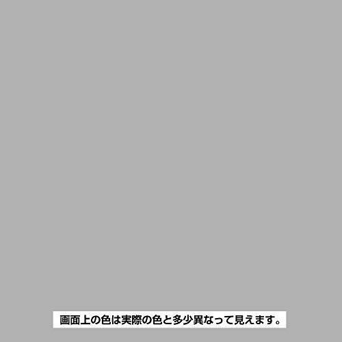 BAN-ZI サビキラー プロ 200G｜spices｜02