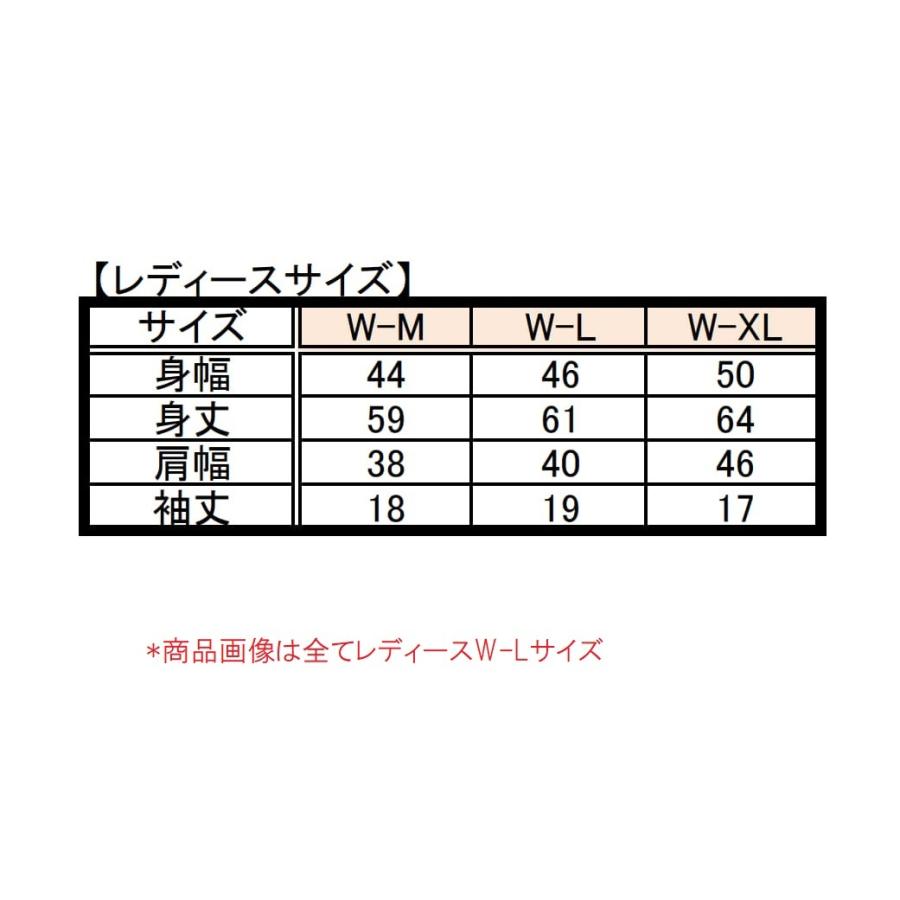 レビューを書いてメール便送料無料＊＊ スピンアウト ドライTシャツ