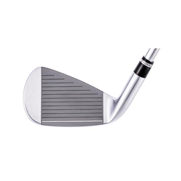 ロイヤルコレクション AM X アイアン #5〜PW 6本組 ダイナミック 