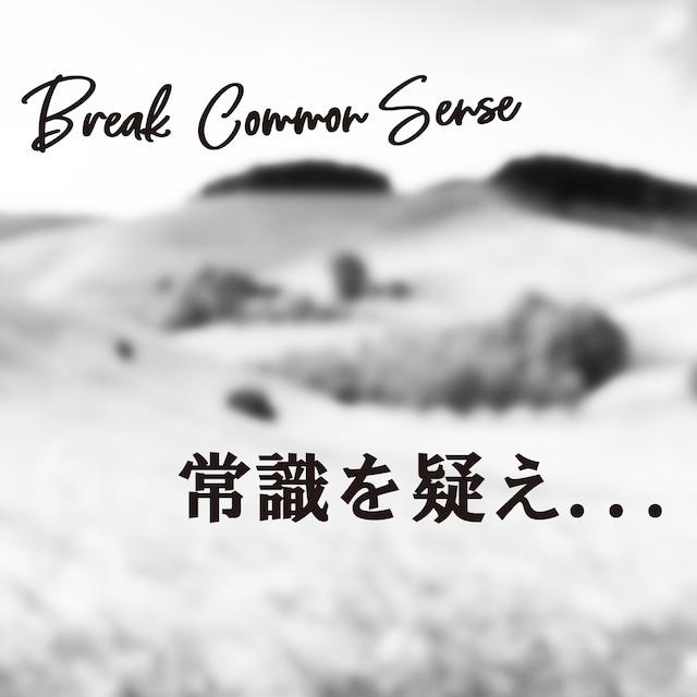 藤本技工(超軽量) Break Common Sense 単品アイアン #4,#5 NSPRO