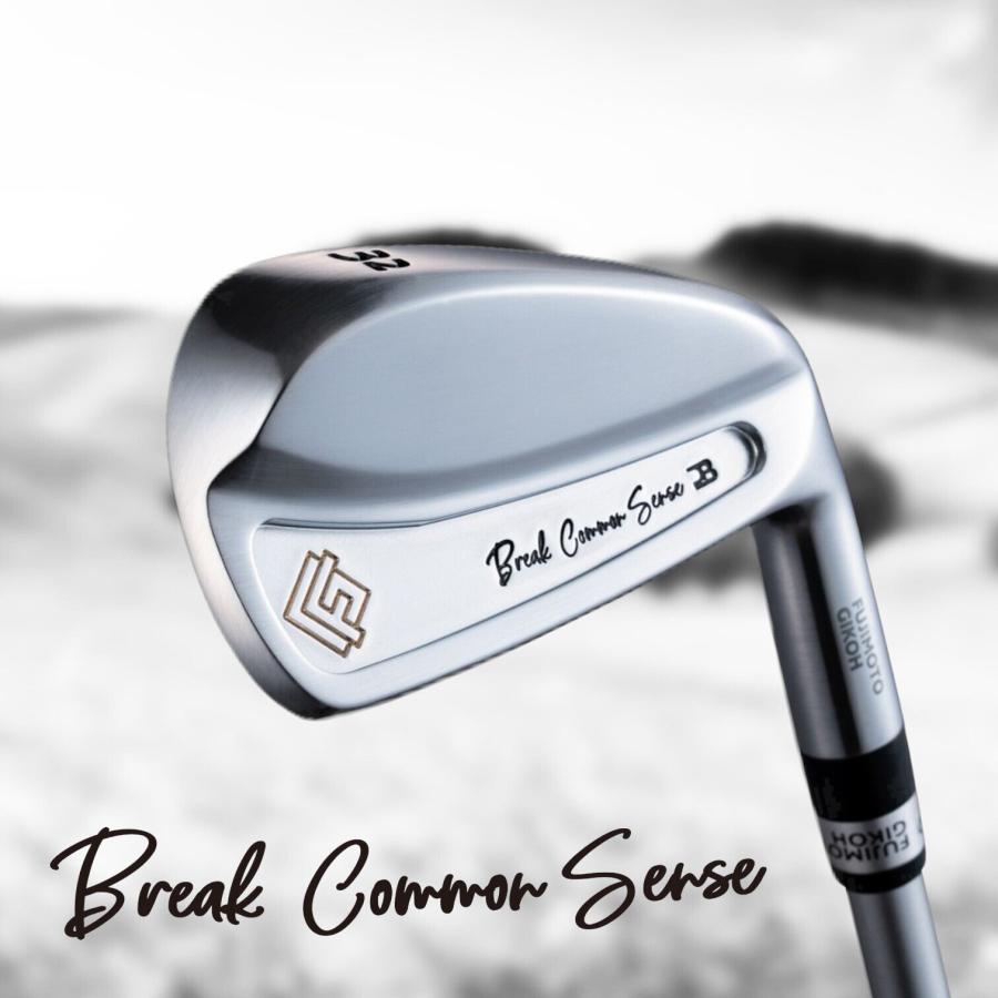 藤本技工(超軽量) Break Common Sense(5本セット) #6〜PW プロジェクトX レッド PROJECT X RED FUJIMOTO GIKOH ブレイクコモンセンス 日本仕様 特注カスタムの画像