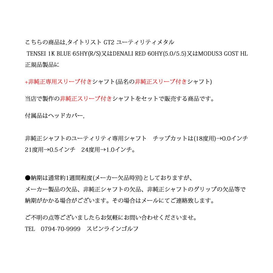 Titleist（タイトリスト） GT2 ユーティリティ TENSEI 1K BLUE HY or