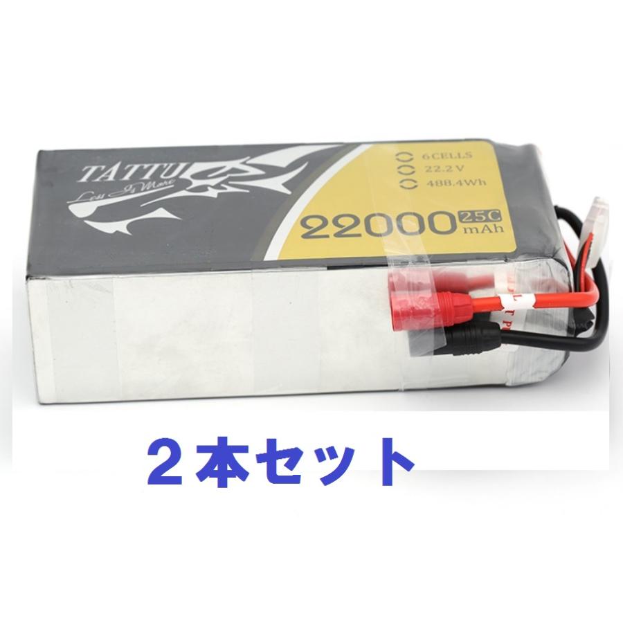 2本セット】高品質リチウムイオンポリマー電池TATTU 6s-22000mAh 