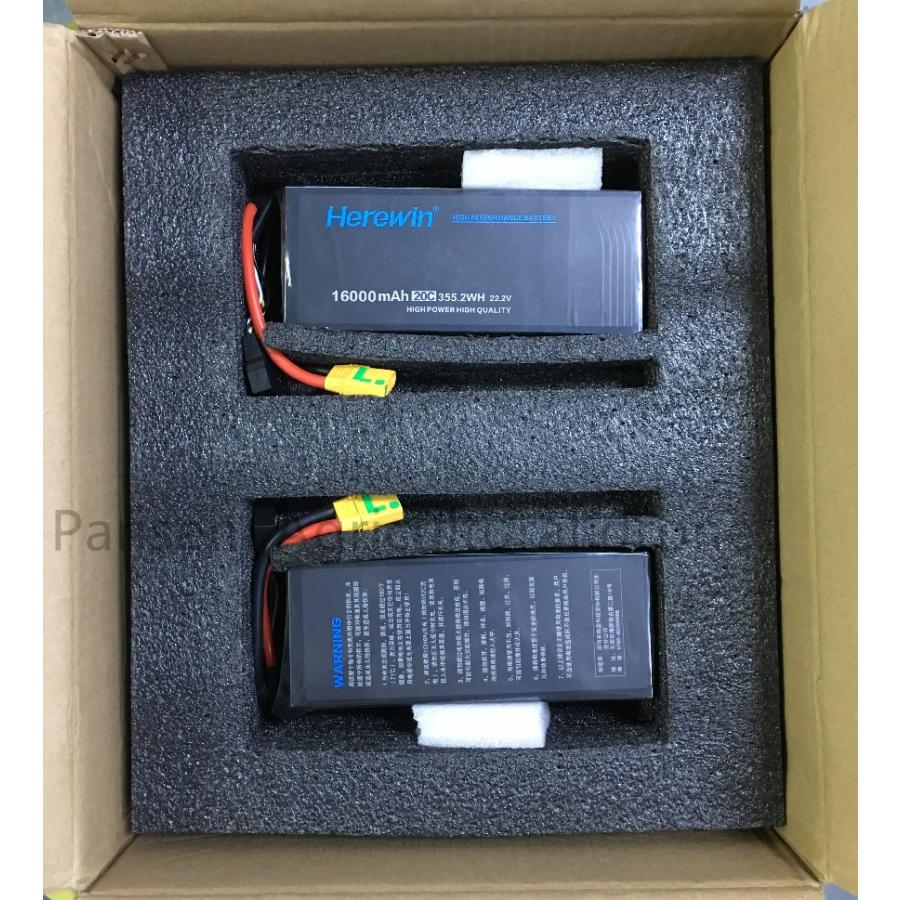 【2本セット】リチウムイオンポリマー電池Herewin 6s-16000mAhの画像