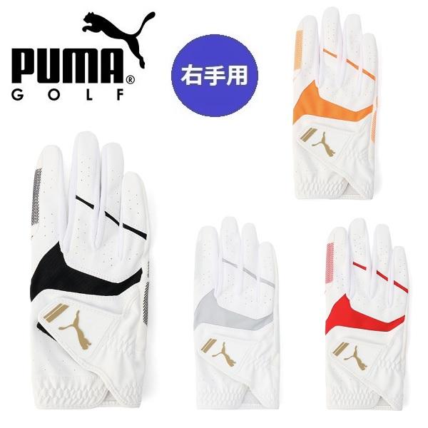 プーマ ゴルフ グローブ アルファ グリップ グローブ  右手用 メンズ PUMA Golf 041878 【メール便配送】 | PUMA