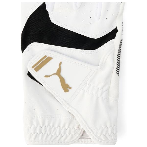 プーマ ゴルフ グローブ アルファ グリップ グローブ  右手用 メンズ PUMA Golf 041878 【メール便配送】 | PUMA | 06