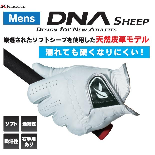 キャスコ ゴルフグローブ DNA SHEEP シープ メンズ 左手用 羊革 手袋 GF-2012【メール便配送】 | kasco | 01
