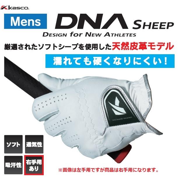 右手用 キャスコ ゴルフグローブ DNA SHEEP シープ メンズ レフティ 羊革 手袋 GF-2012R 【メール便配送】 | kasco | 01