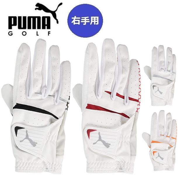 右手用 プーマ ゴルフ ゴルフグローブ HEXA グリップ グローブ メンズ PUMA GOLF HEXA GRIP 867892 【メール便配送】 | PUMA