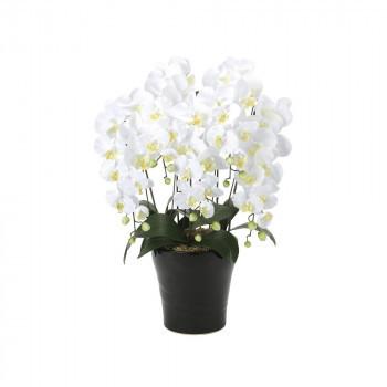 即納 最大半額 光の楽園 光触媒加工 胡蝶蘭5本立ち 654a150 73 Ab スプラッシュウォール 通販 Yahoo ショッピング 安い Udmpk Com