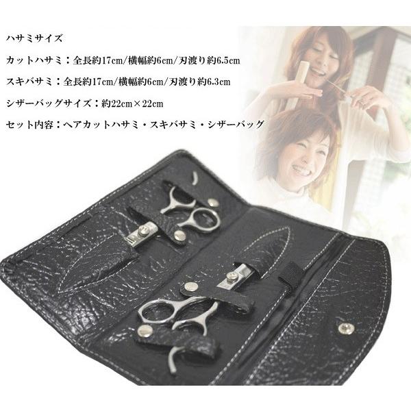 2本セット)美容師 ステンレスバサミ 2P 専 ケース付 高級モデル ヘア