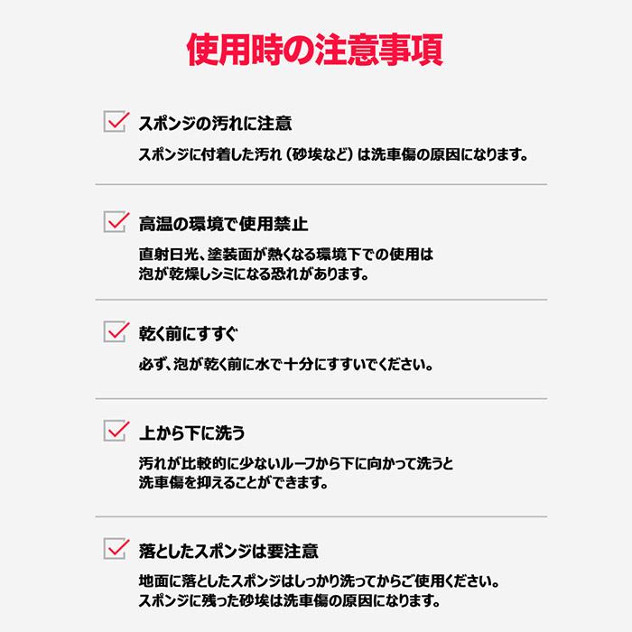 カーシャンプー THE CLASS ザクラス 【1000ml】バブルマックス