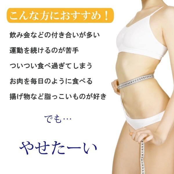 プーアール茶 ダイエット スリムトビラ ３０包入 2セット ティーパック 国産 ごぼう茶 黒豆茶 熱茶 美味しい おいしい メタボ 減肥 2月分 プアール プーアル 2 スプランドゥール ヤフー店 通販 Yahoo ショッピング