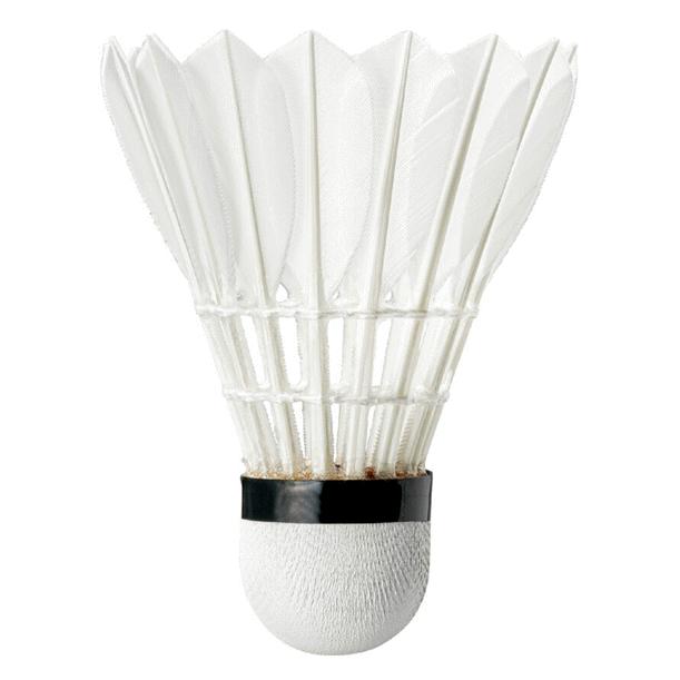 MIZUNO（ミズノ） バドミントン シャトルコック スカイクロスGX-II（10