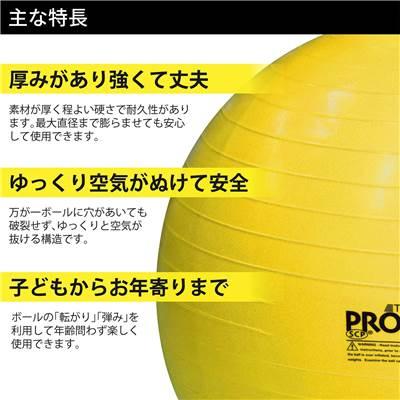ディーエム SDSエクササイズボール バランスボール（ブルー） 直径：75cm 適応身長：180〜190cm【冬トレ】 D&M_6