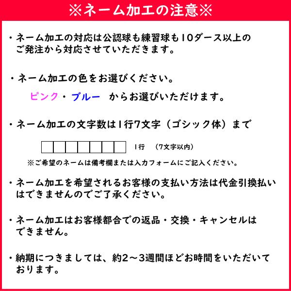 NAGASE KENKO（ナガセケンコー） ケンコー ソフトテニスボール 公認球
