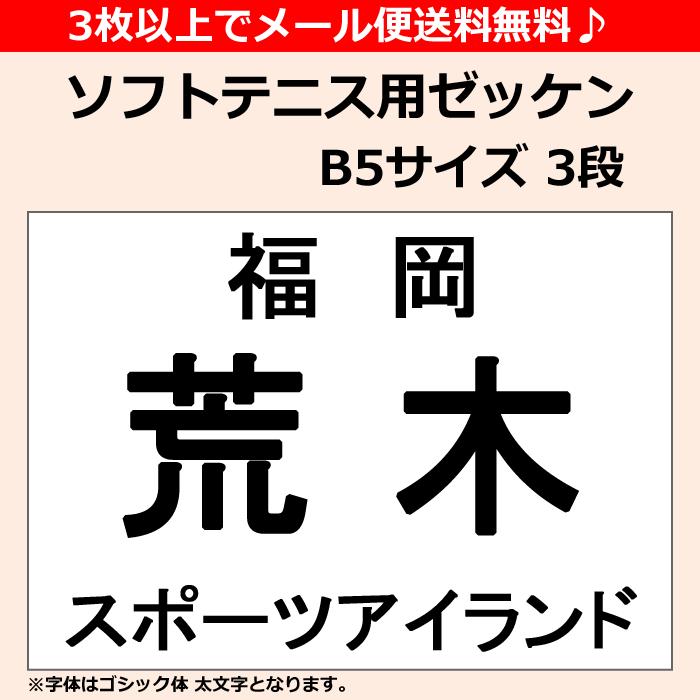 3枚以上でメール便送料無料 ソフトテニス用ゼッケン 納期：当日〜2日