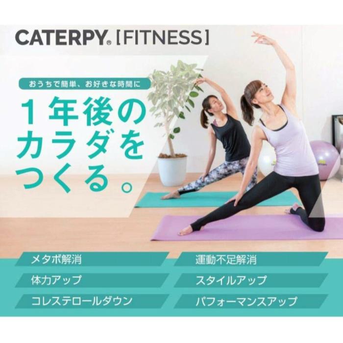 CATERPY キャタピー フィットネス ピラティス・ヨガ ボール20cmトレーニング フィットネス リハビリ 筋トレ 腹筋 背筋 :cf-006:スポコンストア - 通販 - Yahoo!ショッピング CATERPY キャタピー フィットネス ピラティス・ヨガ ボール20cmトレーニング フィットネス リハビリ 筋トレ 腹筋 背筋 :cf-006:スポコンストア - 通販 - Yahoo!ショッピング