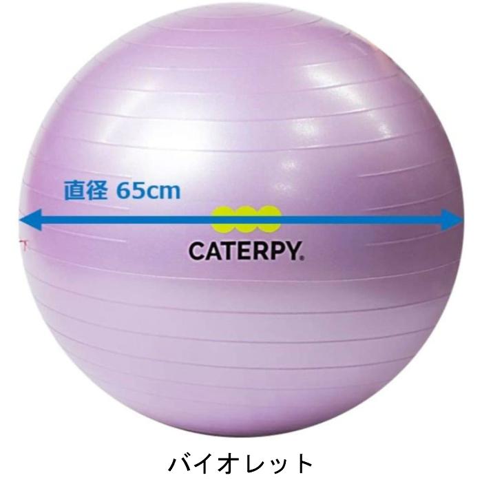 Caterpy キャタピー フィットネス バランスボール６５ｃｍ トレーニング フィットネス リハビリ 筋トレ 腹筋 背筋 Cf スポコンストア 通販 Yahoo ショッピング